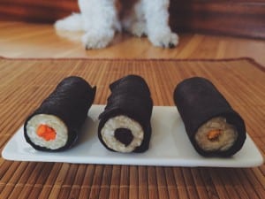 Sushi para perros