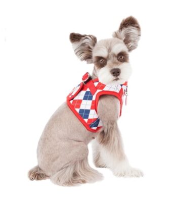 y Arneses para Perros | Ole tus huellas