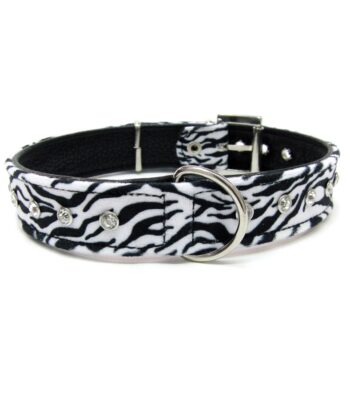 Collar Zebra Look