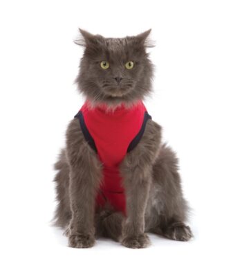 Camiseta postoperatoria para gatos Medical Pet