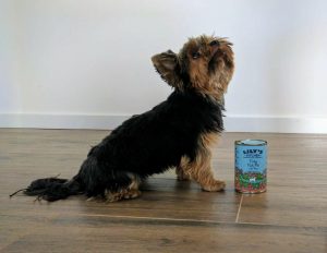 latas_naturales_perros_gatos