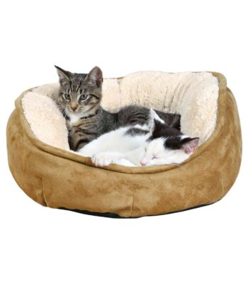 Cama Rustic Home
