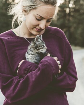 Piensos Holísticos para Gatos
