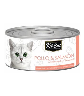 kit-cat-latas-alta-calidad-gatos