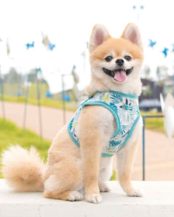 Arnés Rowan B Puppia