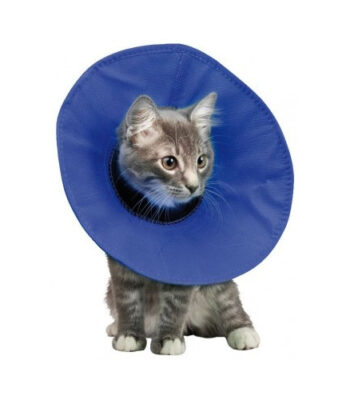 Collar Isabelino Soft