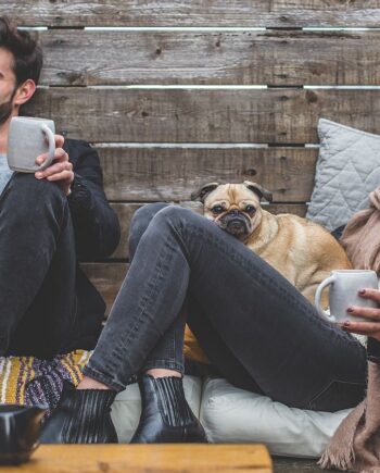 Dog & Cat Lovers