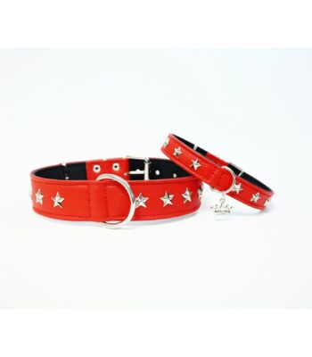 Collar Red Star