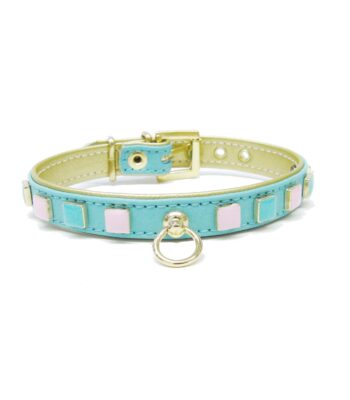 collar-perros-mini-toy