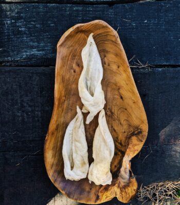 oreja_cordero_perros