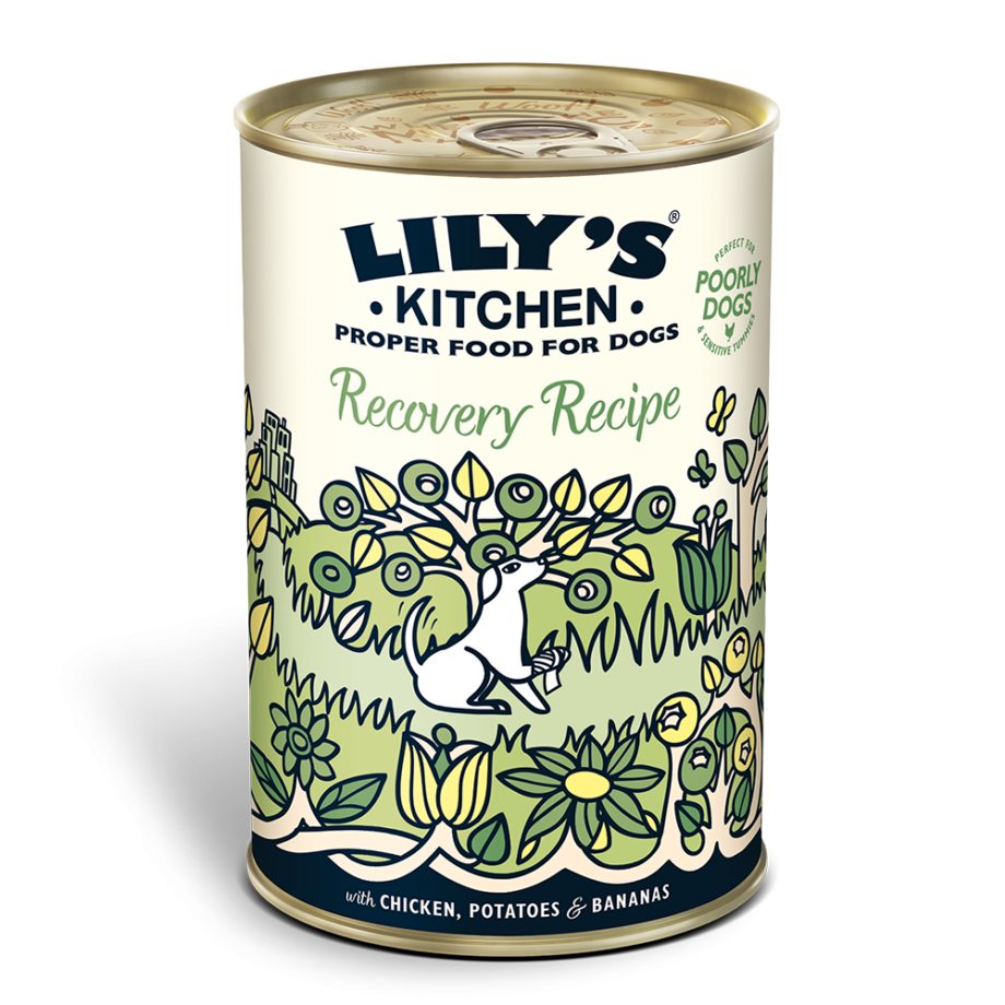 Lily´s Kitchen Recovery