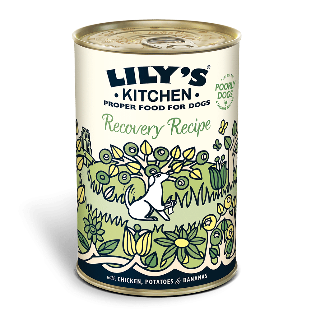 Lily´s Kitchen Recovery Ole tus huellas