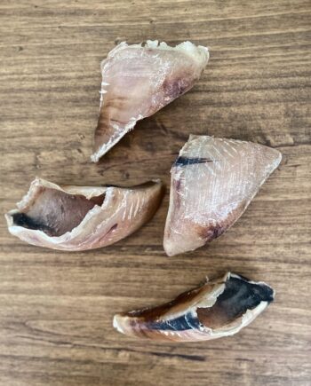 Pezuña Bovina