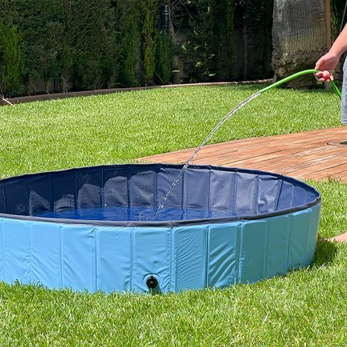 Oca Loca - La piscina para perros está hecha de material