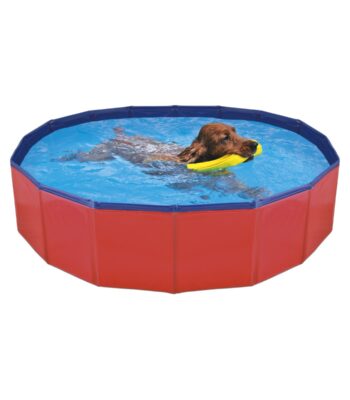 Piscina para perros