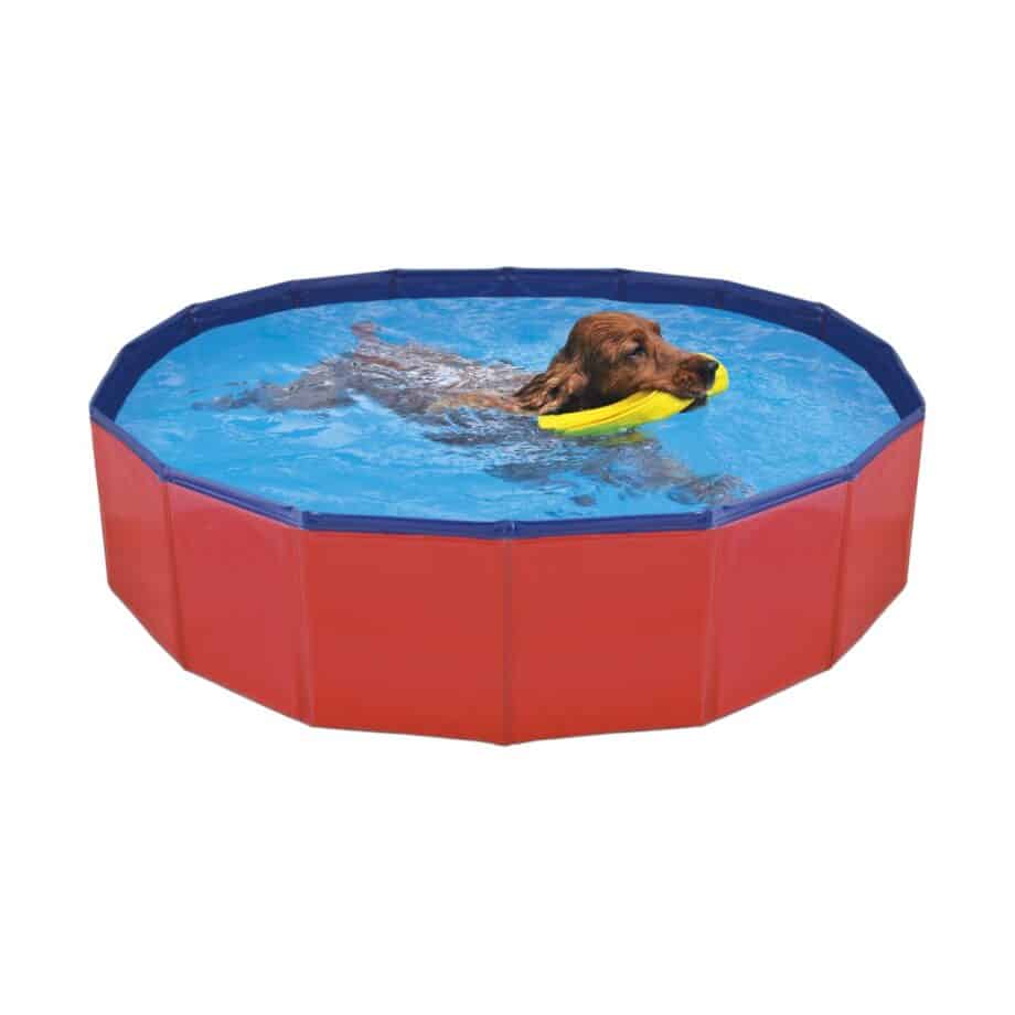 Piscina para perros