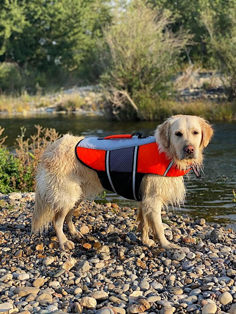 Chaleco - Ole tus huellas