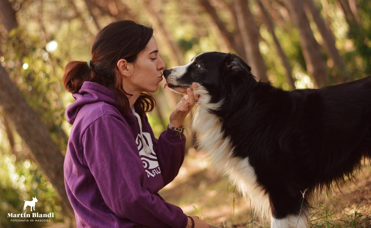 juegos olfativos para perros
