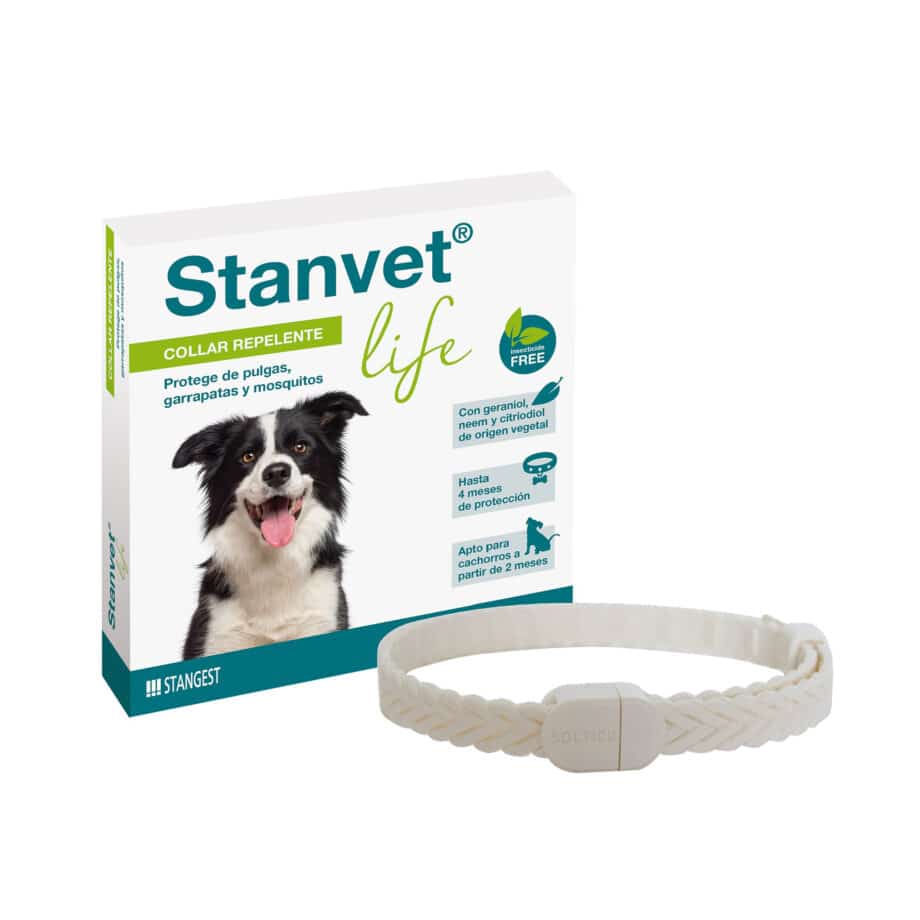 Collar Stanvet Life Natural