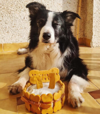 Tarta de Cumpleaños de Atún para Perros