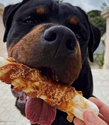 Puerro Dental XL con Pollo