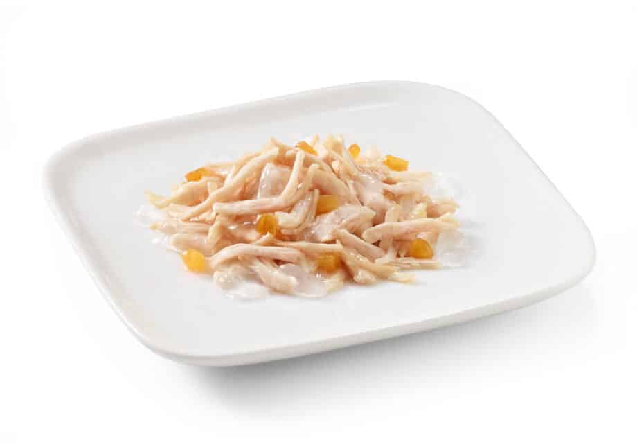 Schesir Filetes de Pollo con Papaya para perros