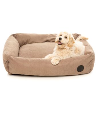 Cama Lounge