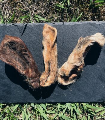 Oreja de Cabra con pelo