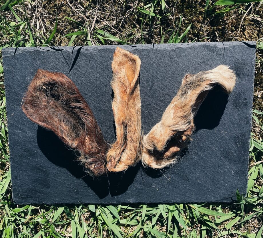 Oreja de Cabra con pelo