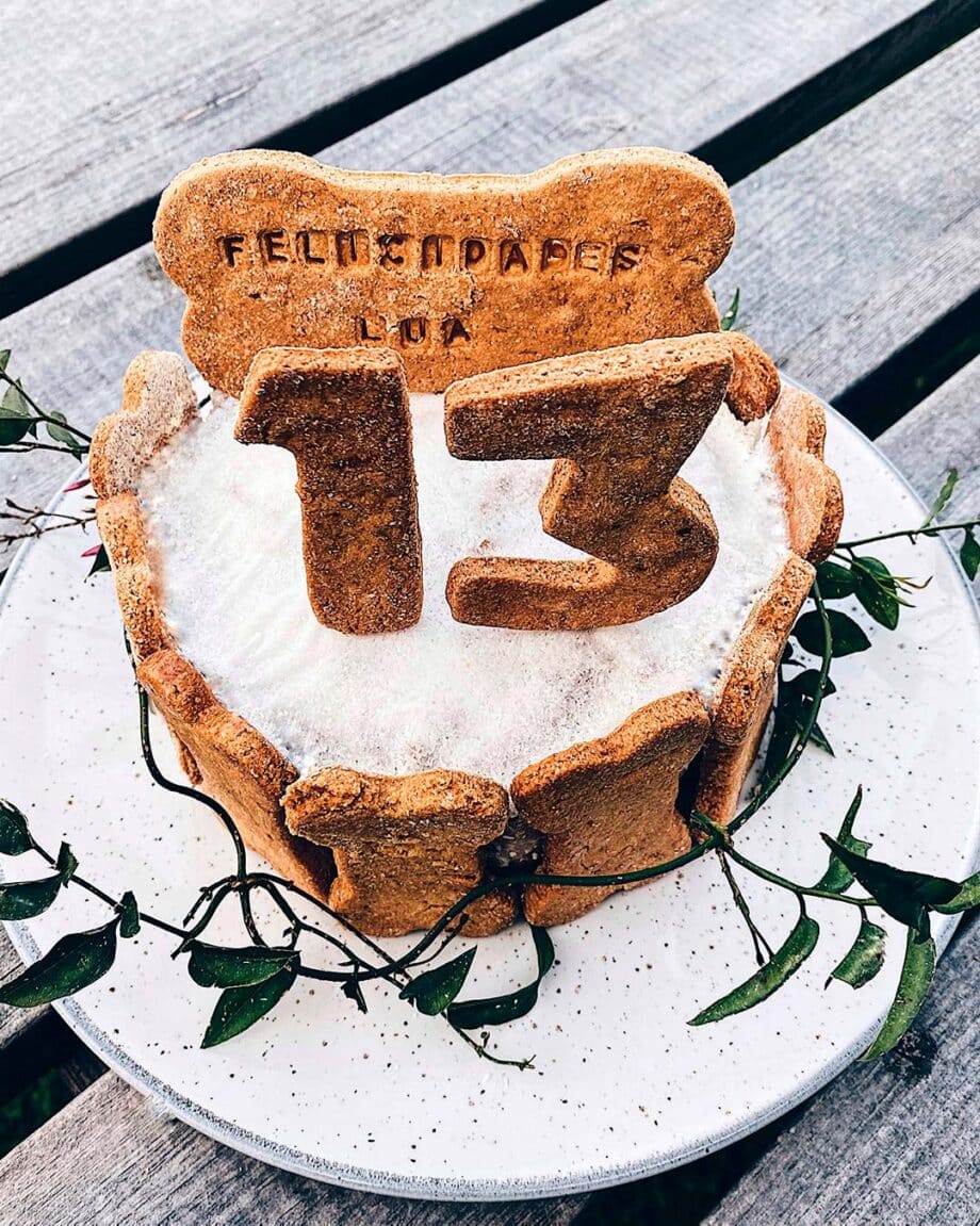 tarta para perros