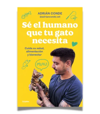 Sé el humano que tu gato necesita