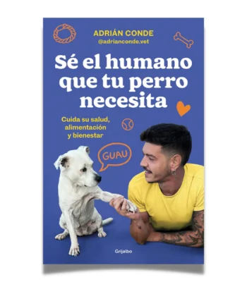 Sé el humano que tu perro necesita