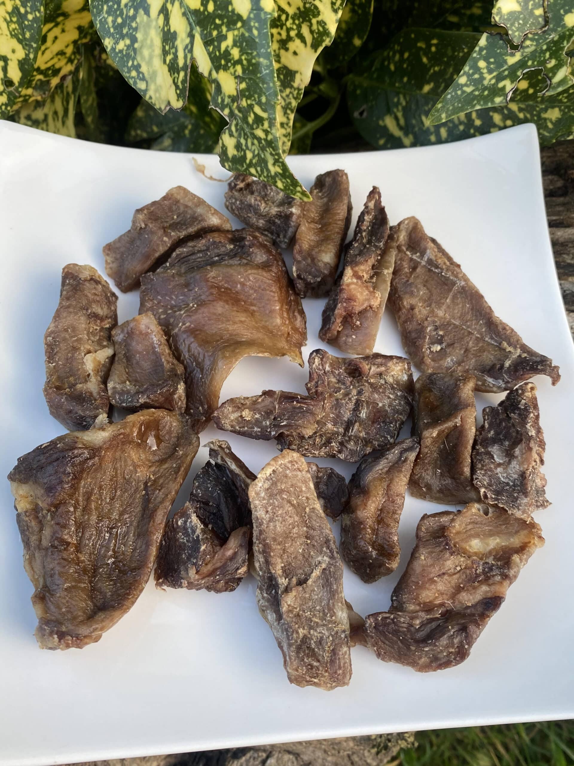 Lengua de Vaca