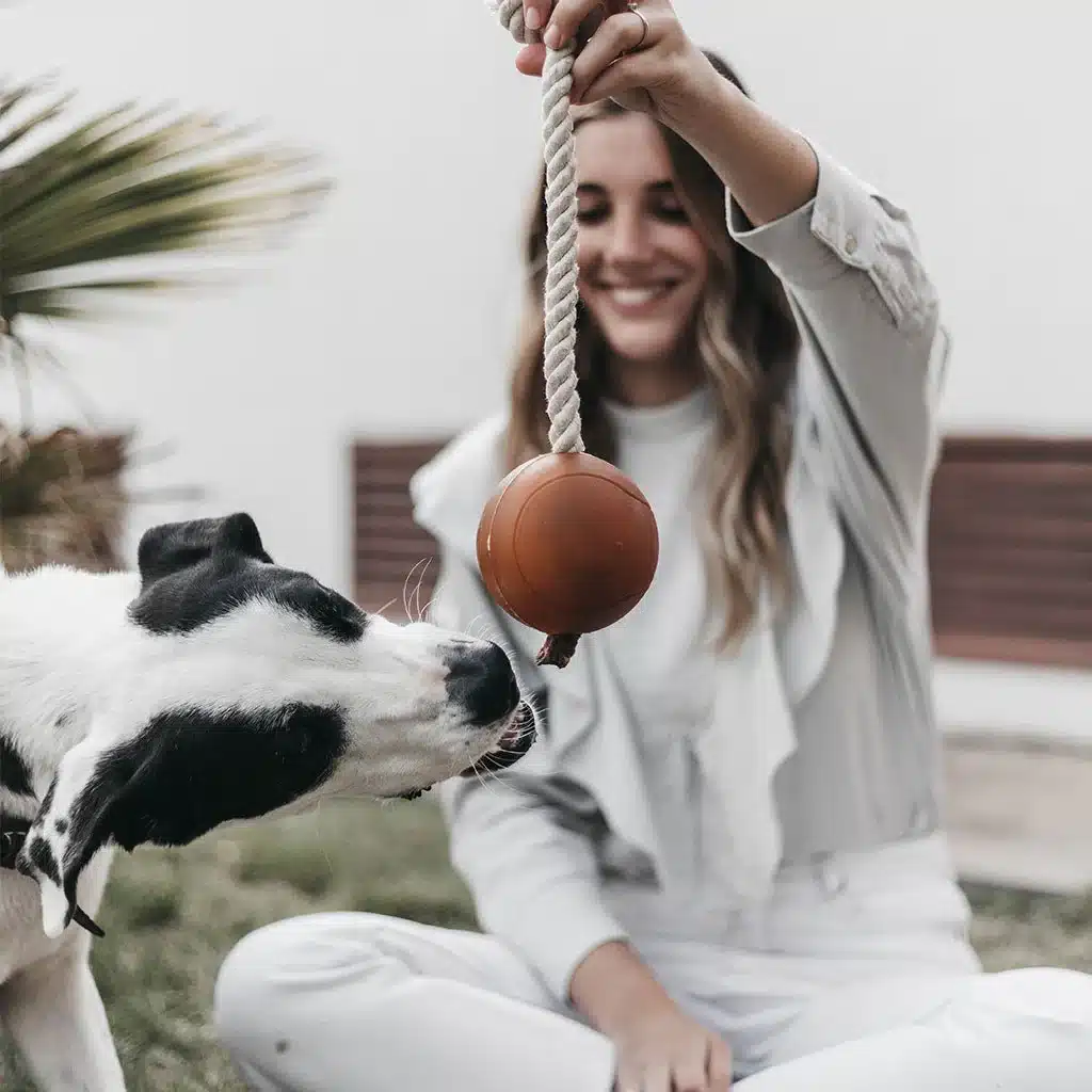 Motivador con Pelota de Resina Orgánica