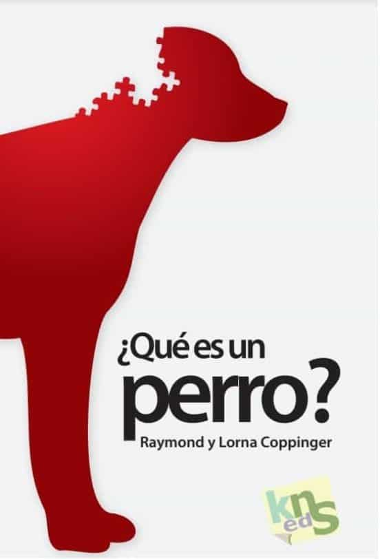 ¿Qué es un perro