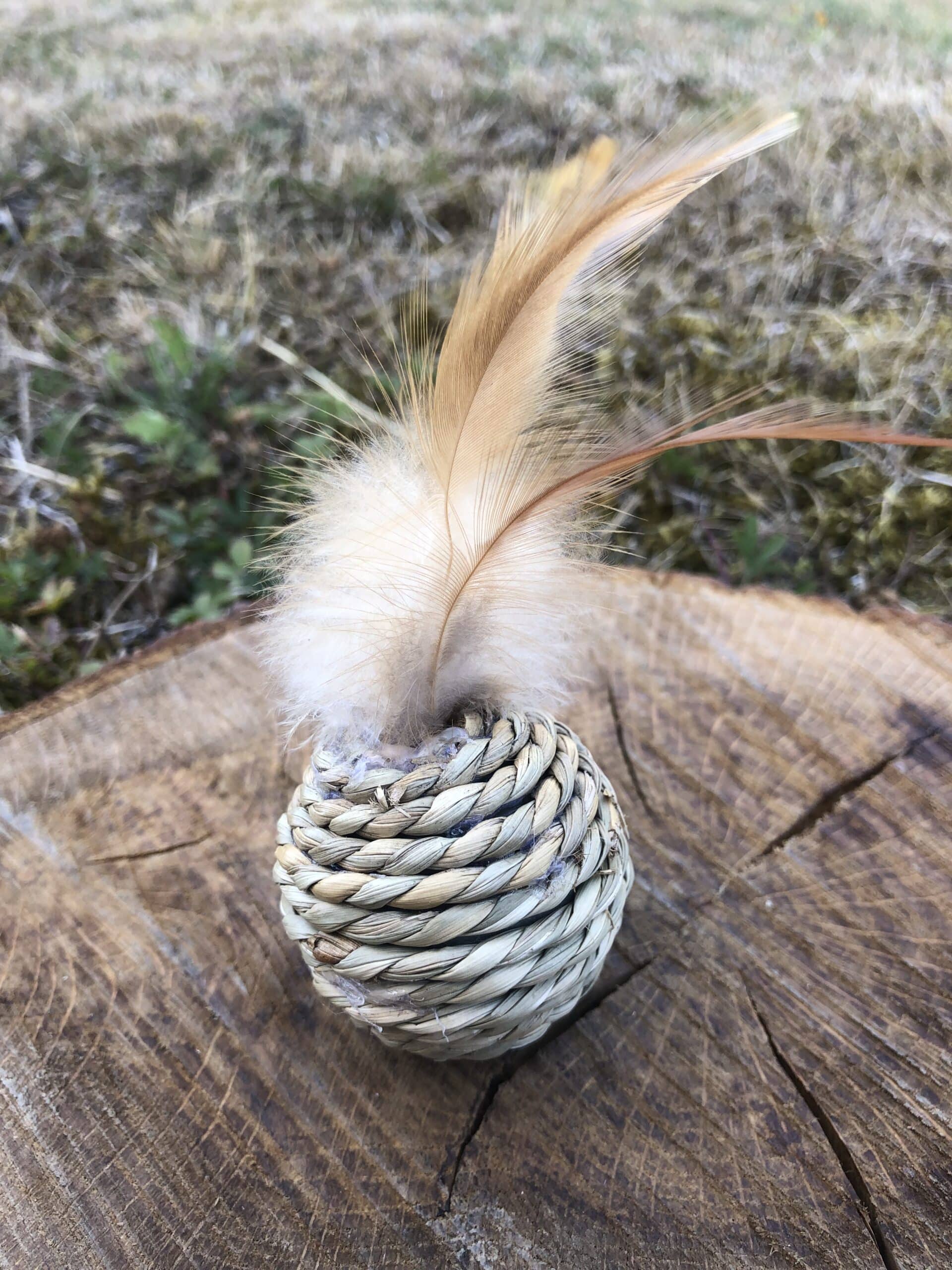 Pelota de Pasto Marino con Pluma