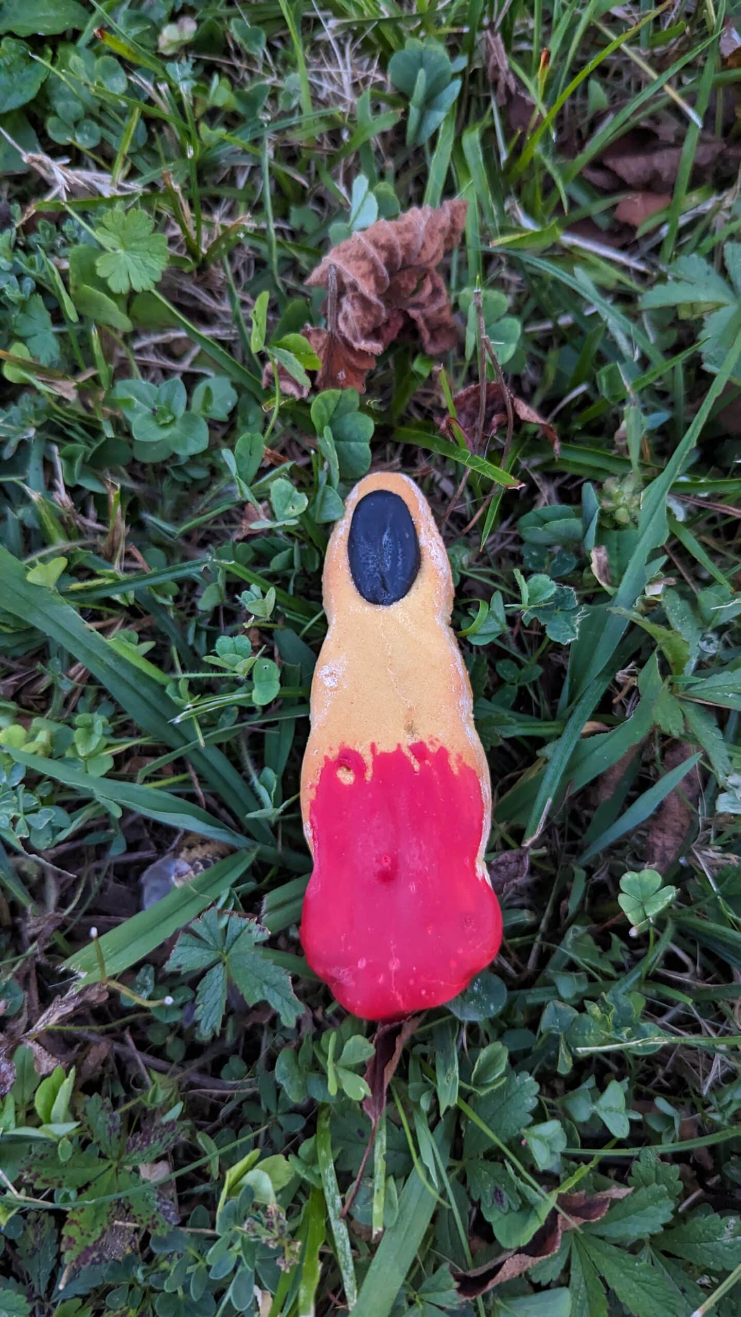 Dedo Zombie - Galleta de Halloween Perruna