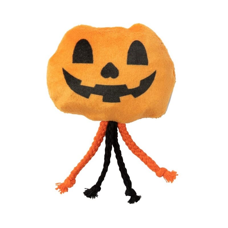 Calabaza Gatuna