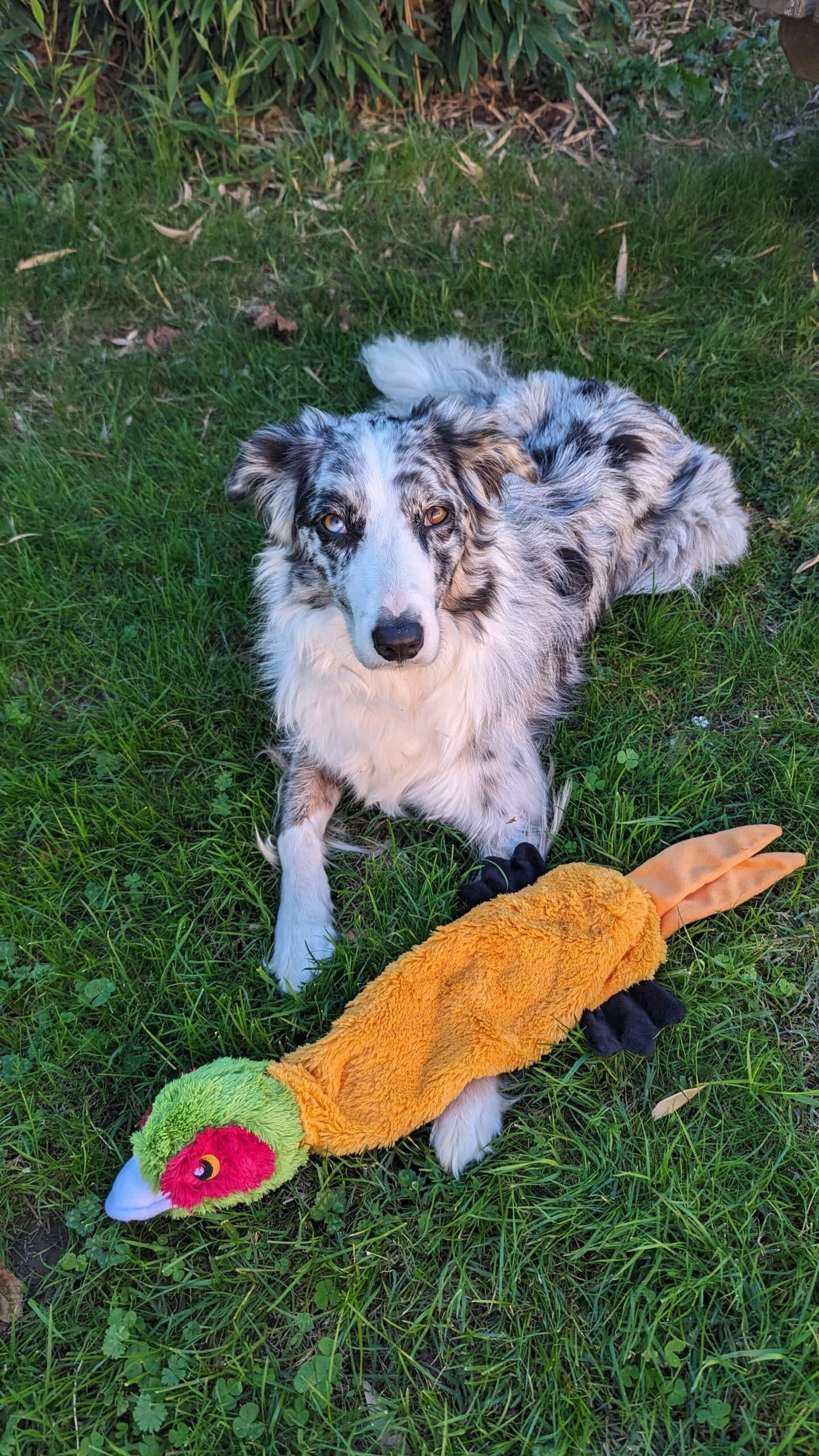 Súper Pato XL - Peluche sin relleno - Ole tus huellas