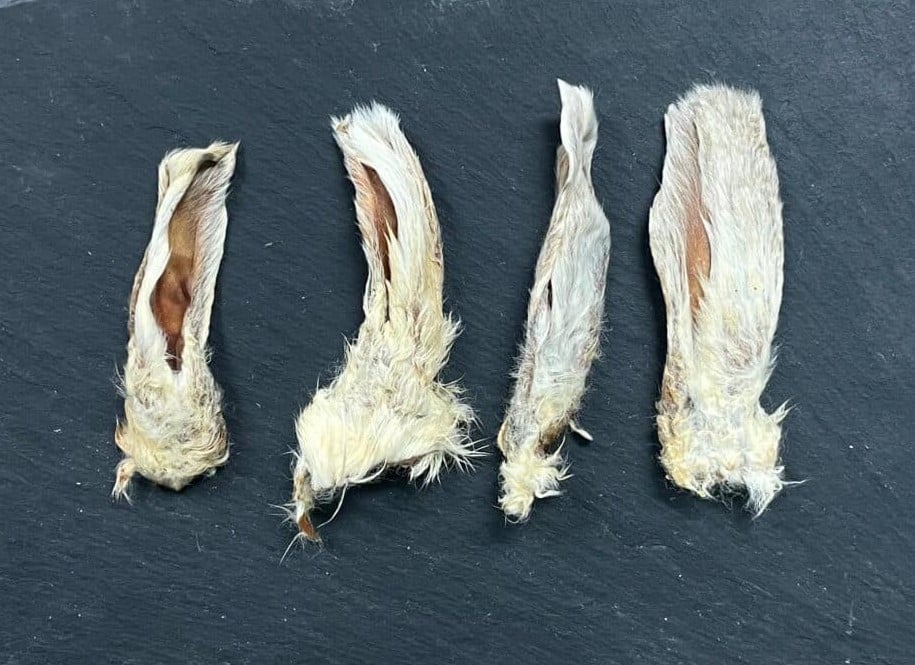 Oreja de Conejo con pelo mini