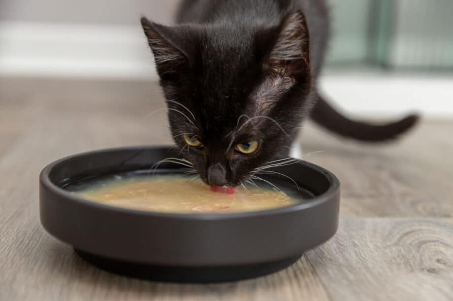 Trixie Sopa de Pollo con Gambas para Gatos