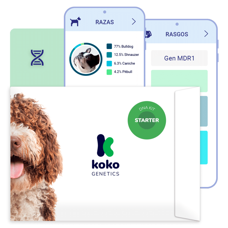Prueba de ADN para perros - Starter