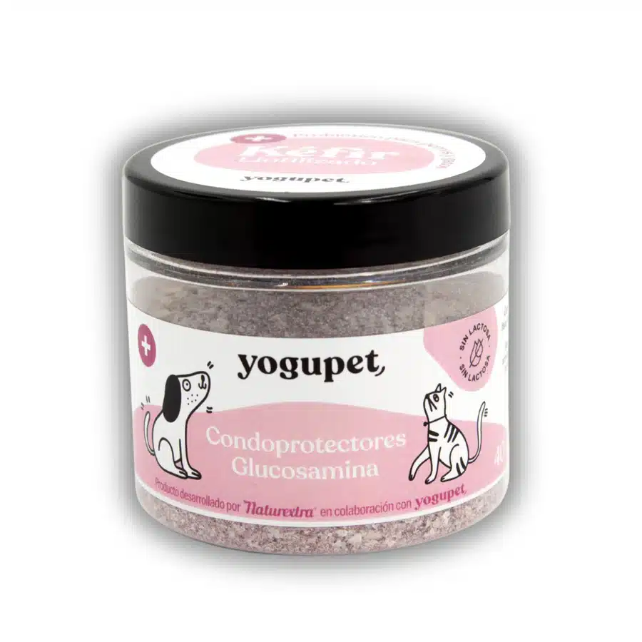 Kéfir liofilizado Yogupet - Con Condroprotectores