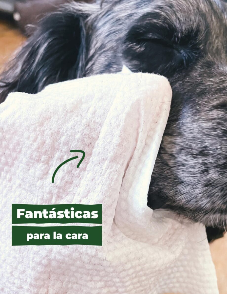 Toallitas húmedas compostables e hipoalergénicas BECO